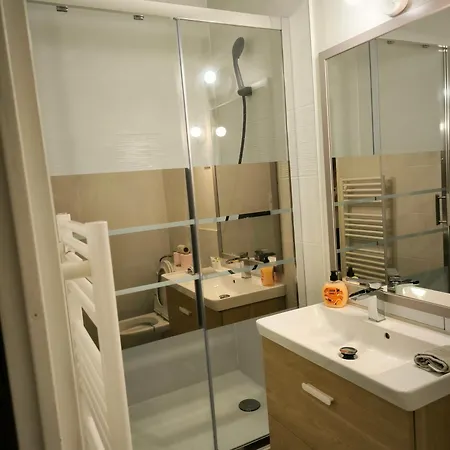 T2 Spacieux Proche Zenith&aeroport&purpan דירה טולוז