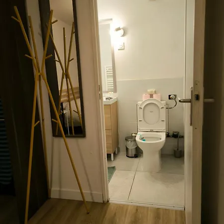 T2 Spacieux Proche Zenith&aeroport&purpan *