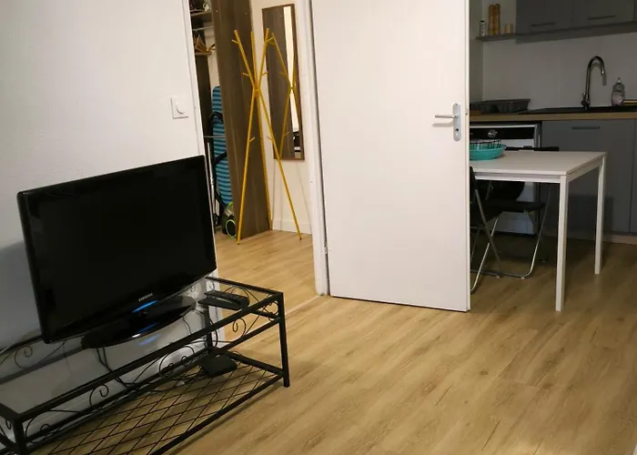 T2 Spacieux Proche Zenith&aeroport&purpan *