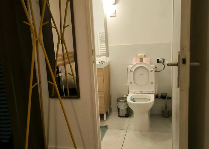 T2 Spacieux Proche Zenith&aeroport&purpan *